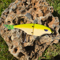 Alosa Glide